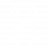 Slim-Coach-Auszeichnung_2.png